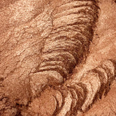 Bronze Metallic Mica Powder for Epoxy Resin 50 Grams
